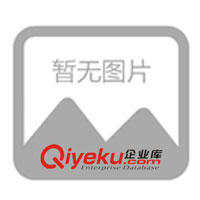 印花T恤、時尚T恤、風衣、時尚風衣、個性風衣、